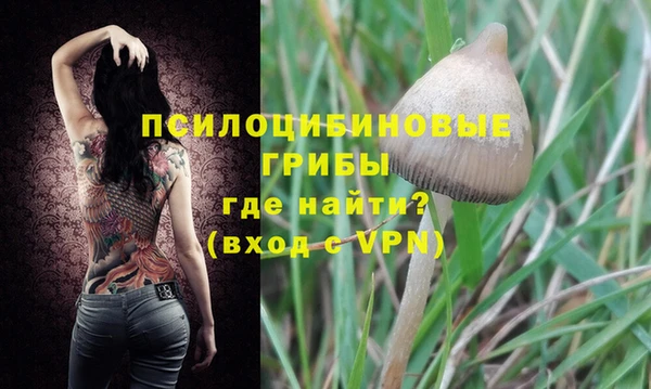 альфа пвп Нея